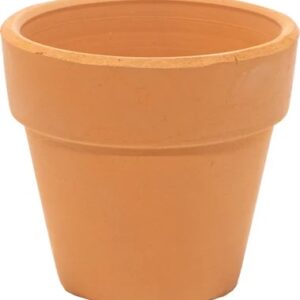 Passende bloempot  D 15,5cm H 13,5cm