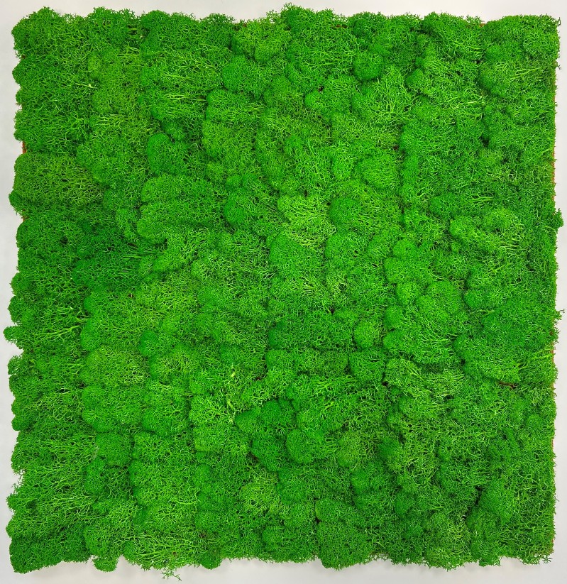 Rijk groen | Mos paneel - Afbeelding 2