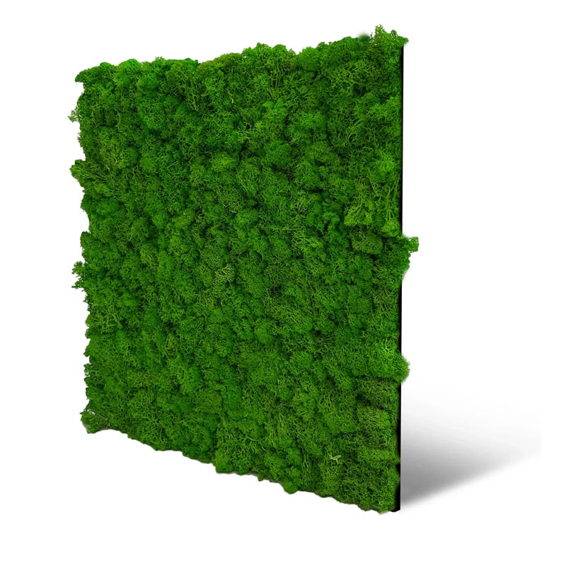 Rijk groen | Mos paneel